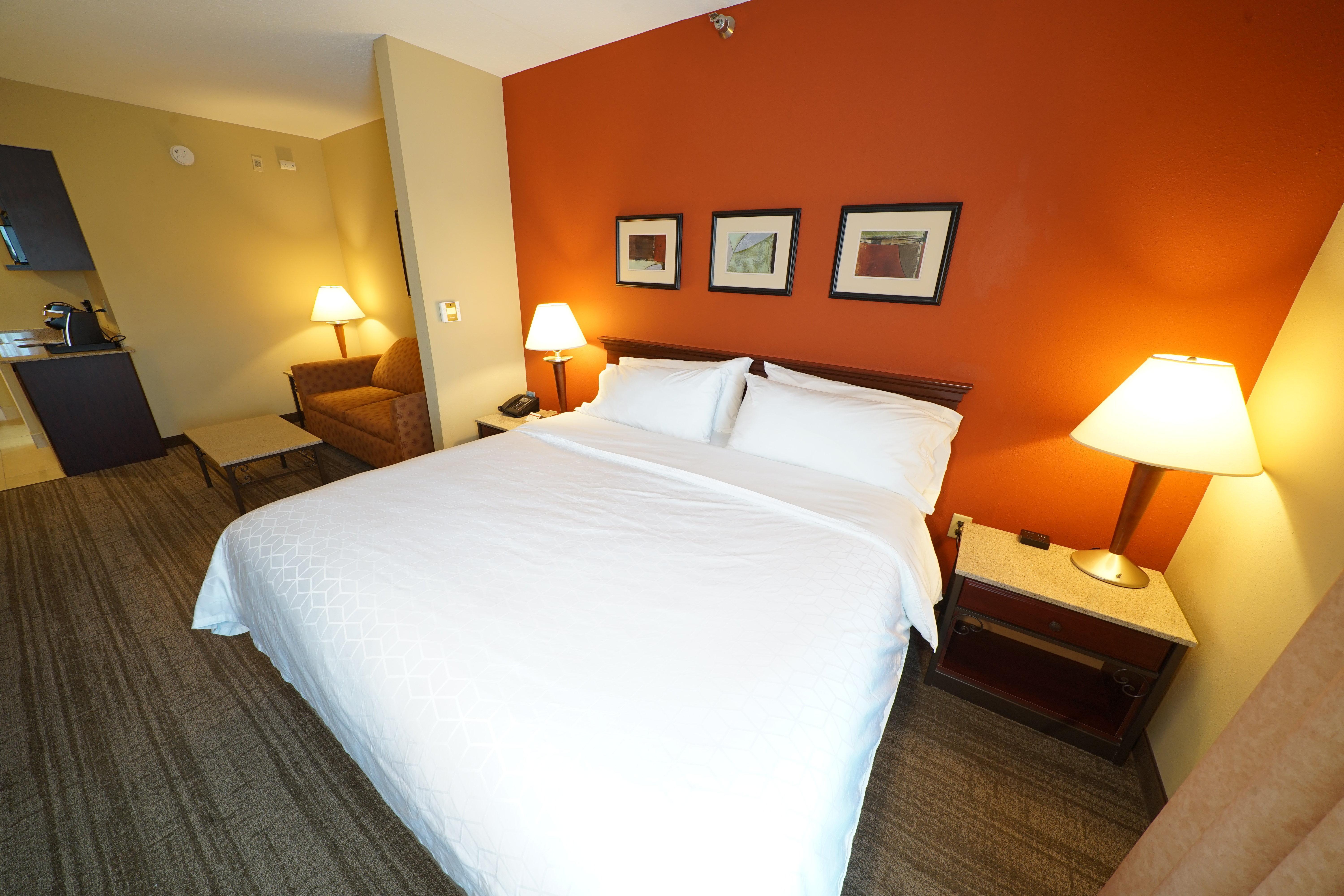Holiday Inn Express Hotel & Suites Tampa-Oldsmar, An Ihg Hotel Extérieur photo